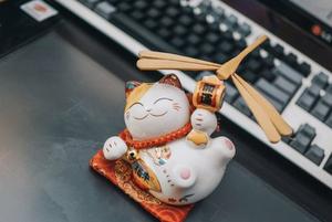 Vn88 bảo trì bao lâu